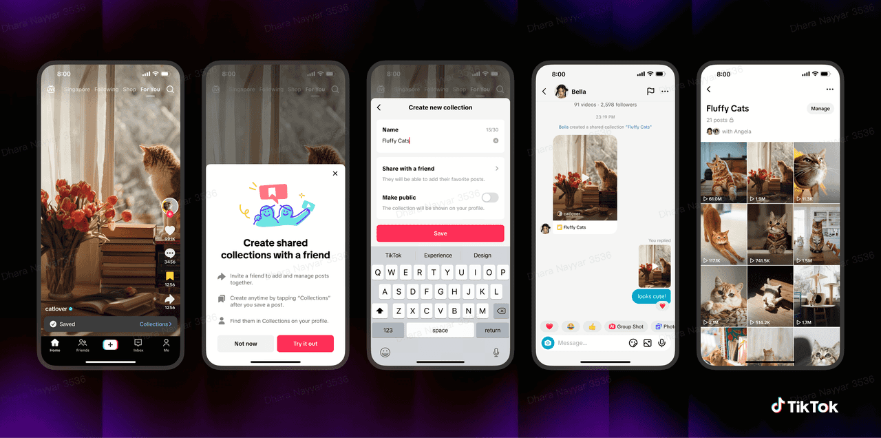 TikTok's introduces Shared Feeds