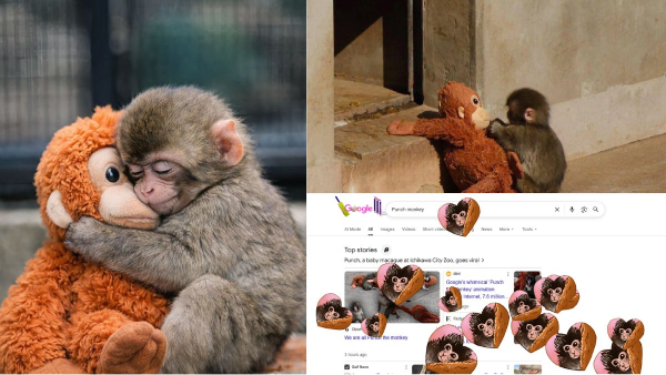 Punch viral macaque global attention