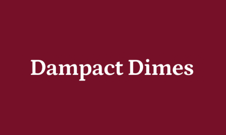 Highlighting social good in business with Dampact Dimes