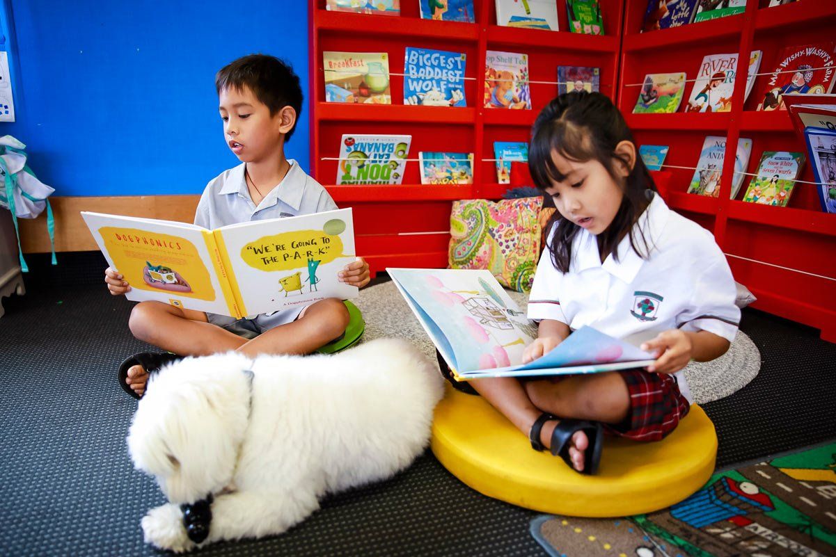 Pedigree encourages children to read to dogs to overcome anxiety