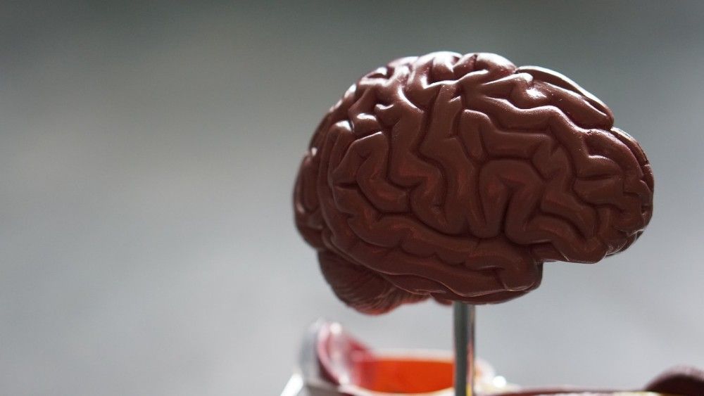 5 thought leadership examples that marketers can learn from