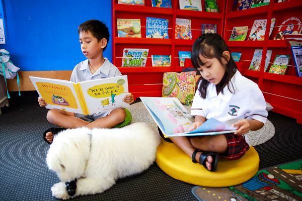 Pedigree encourages children to read to dogs to overcome anxiety