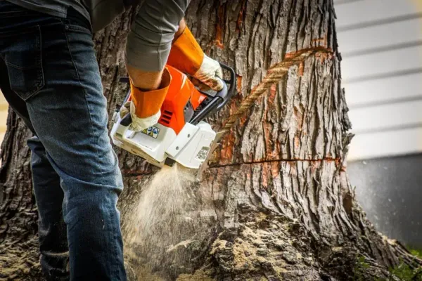 Tree service companies share Hibu reviews after doubling their customer base